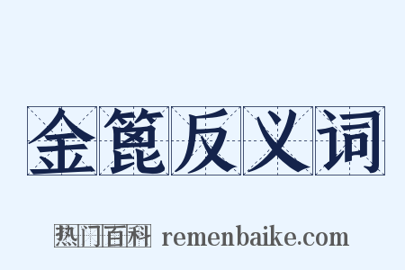 金篦反义词是什么意思的图片